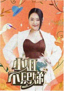 半城烟雨电影海报